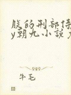 朕的刑部侍郎by朝九小说免费阅读