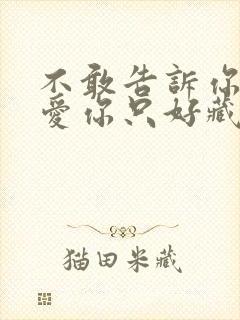 不敢告诉你说我爱你只好藏在心里哪一年的