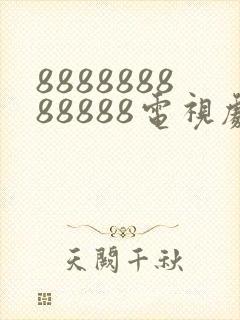 888888888888电视剧演员表封面