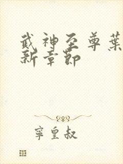 武神至尊叶风最新章节