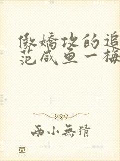 傲娇攻的追妻示范咸鱼一梅全文免费阅读