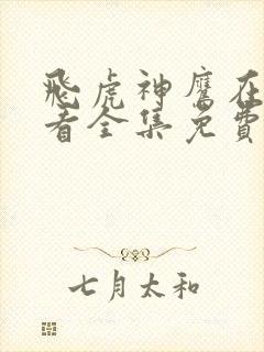 飞虎神鹰在线观看全集免费播放高清