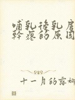 哺乳后乳房下垂干瘪的原因