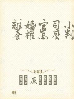 离婚官司小孩抚养权怎么判