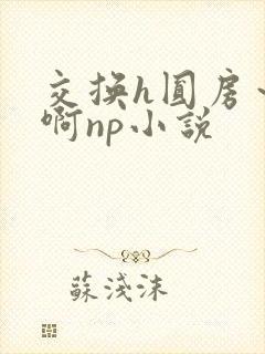 交换h圆房～嗯啊np小说