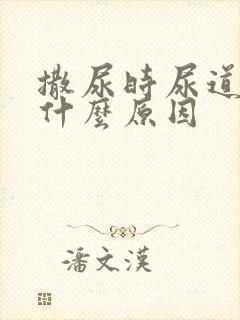 撒尿时尿道痛是什么原因封面