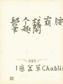 那个校霸腰好软笔趣阁