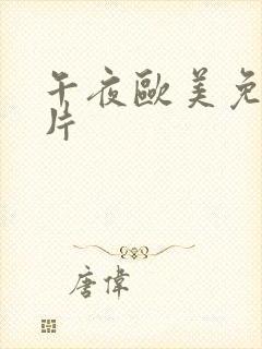 午夜欧美免费大片