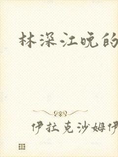 林深江晚的小说