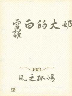 雪白的大奶子小说