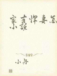 家有悍妻怎么破小说