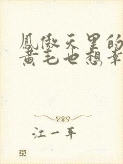 凤傲天里的反派黄毛也想幸福