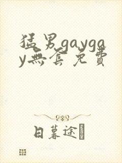 猛男gaygay无套免费