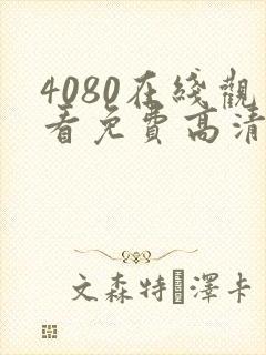 4080在线观看免费高清电视剧封面