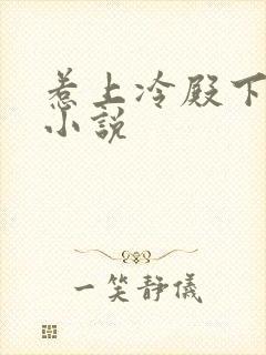 惹上冷殿下原著小说