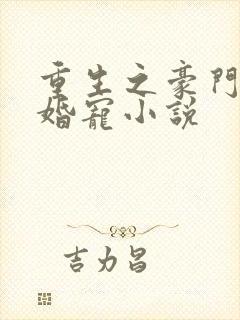 重生之豪门第一婚宠小说