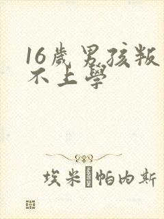 16岁男孩叛逆不上学