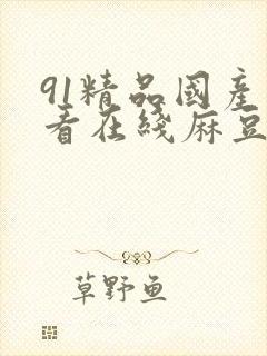 91精品国产观看在线麻豆制片