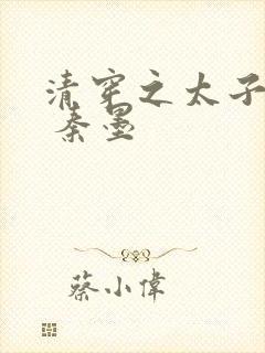 清穿之太子宠妃 秦墨