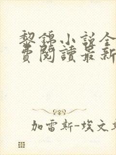 黎锦小说全文免费阅读最新章节封面