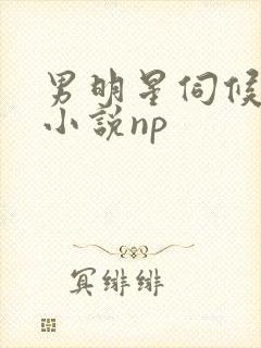 男明星伺候富婆小说np