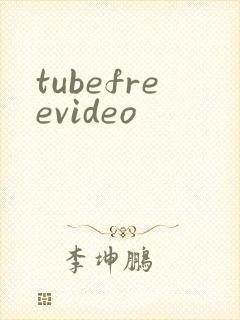 tubefreevideo封面