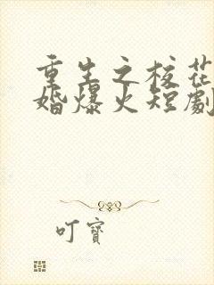 重生之校花求复婚爆火短剧