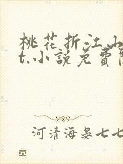 桃花折江山txt.小说免费阅读