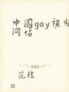 中国gay视频网站