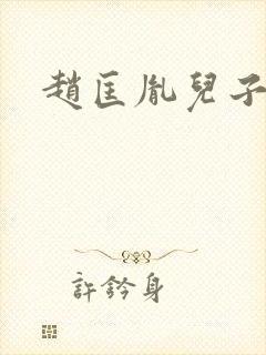 赵匡胤儿子结局