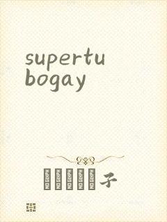 supertubogay封面