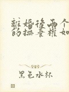 离婚后两个孩子的抚养权如何分