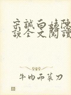 宋诚白姨陈叔小说全文阅读最新章节