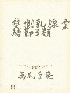 双侧乳腺囊实性结节3类封面