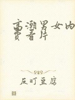 高潮男女内射免费看片