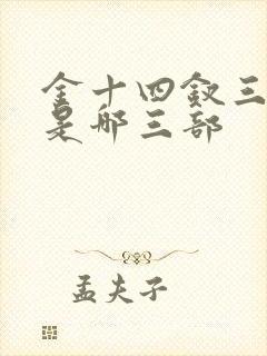 金十四钗三部曲是哪三部