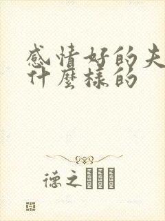 感情好的夫妻是什么样的