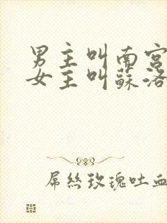 男主叫南宫流云女主叫苏洛的小说