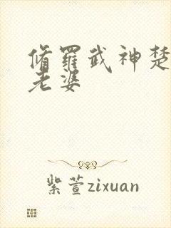 修罗武神楚枫的老婆