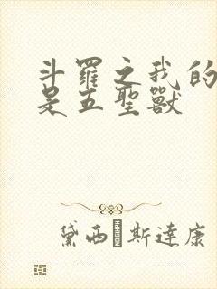 斗罗之我的武魂是五圣兽封面