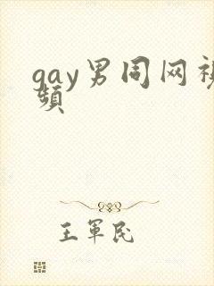 gay男同网视频