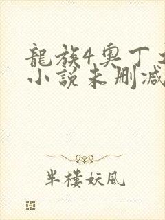 龙族4奥丁之渊小说未删减版