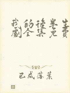 我的后半生电视剧全集免费播放封面