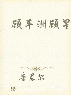 顾平洲顾星小说封面