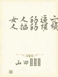 女人的逼穴被男人插的视频