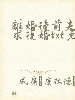 离婚后前夫哭着求复婚txt免费下载
