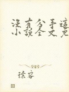 没有分手这回事小说全文免费阅读