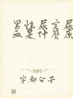 男性尿完尿后有血是什么原因