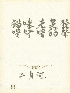 猫咪老是发出呼噜呼噜的声音是怎么回事封面