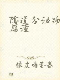 阴道分泌物黄豆腐渣